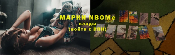 ГАЛЛЮЦИНОГЕННЫЕ ГРИБЫ Сатка